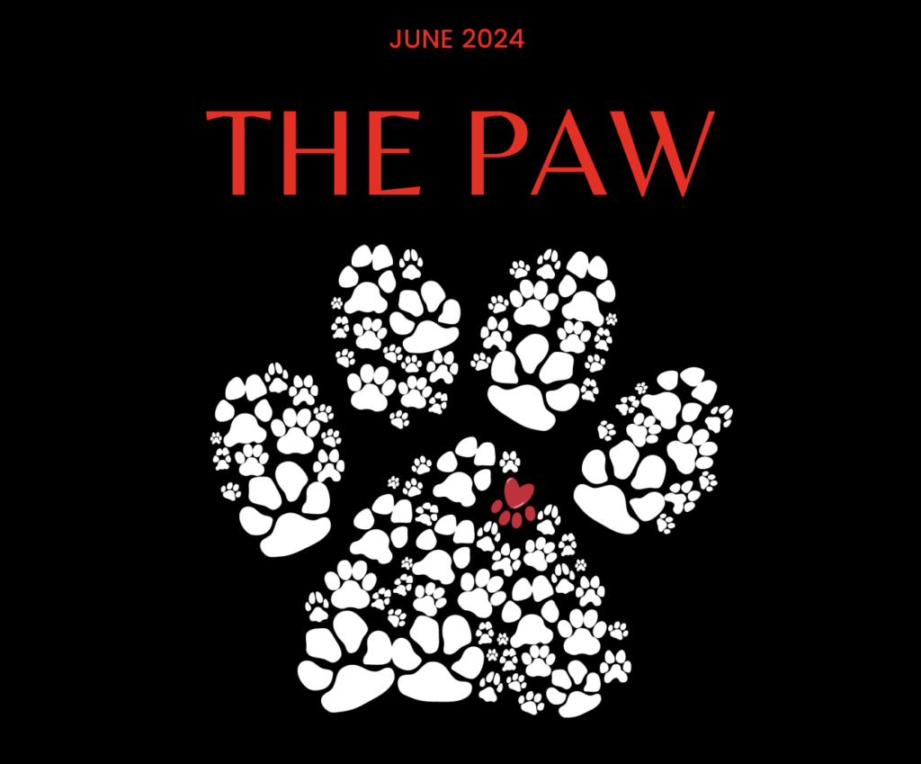 The Paw June